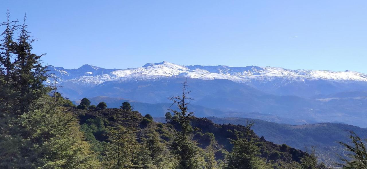 Appartement Rural Nivalis Nívar